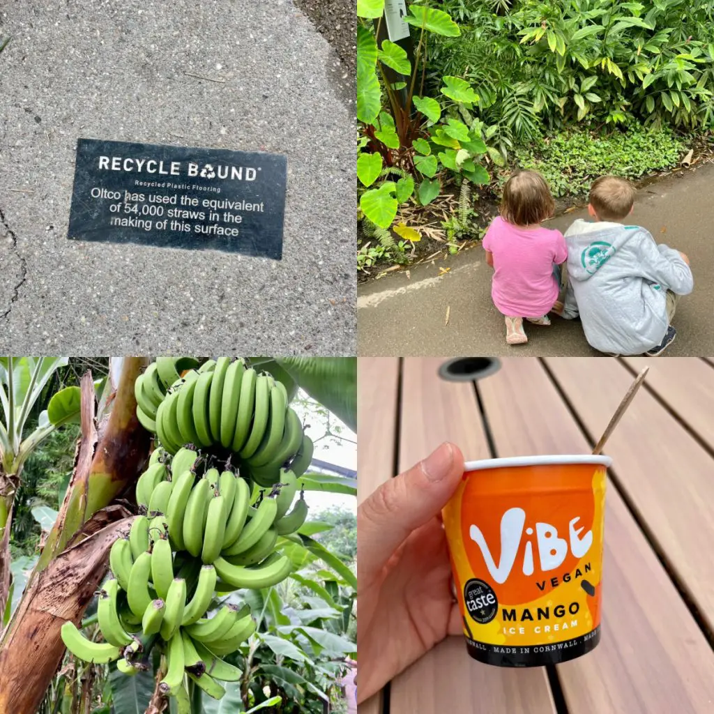 Eden Project
