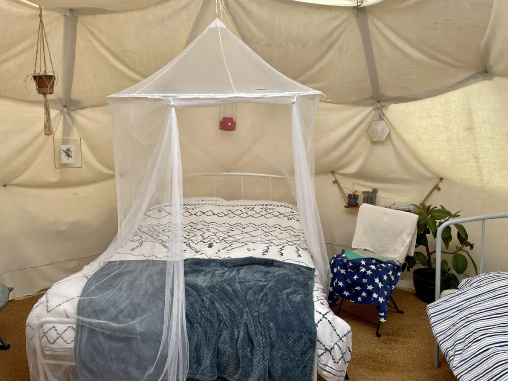 WilderMe Glamping Cornwall