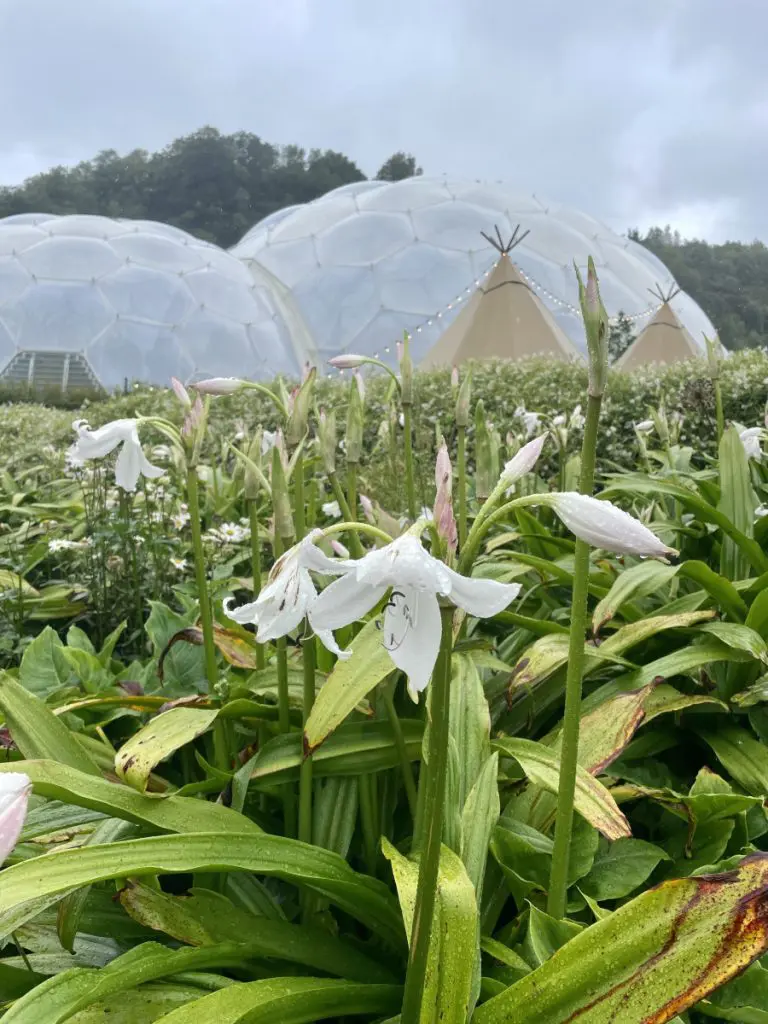 Eden Project