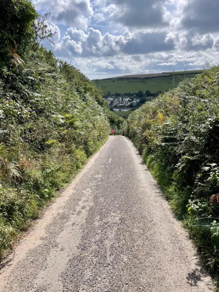 WilderMe Cornwall