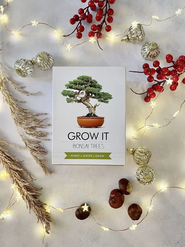 grow your own bonsai