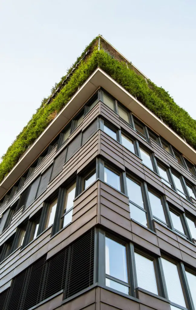 green roof building