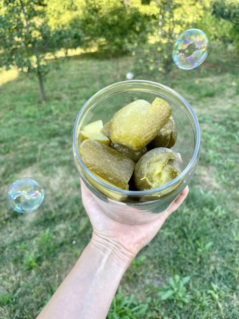 fermented gherkins