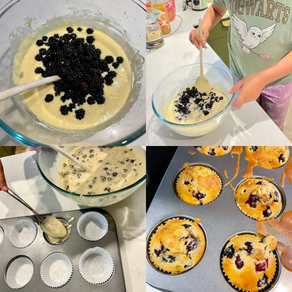 vegan blackberry muffins