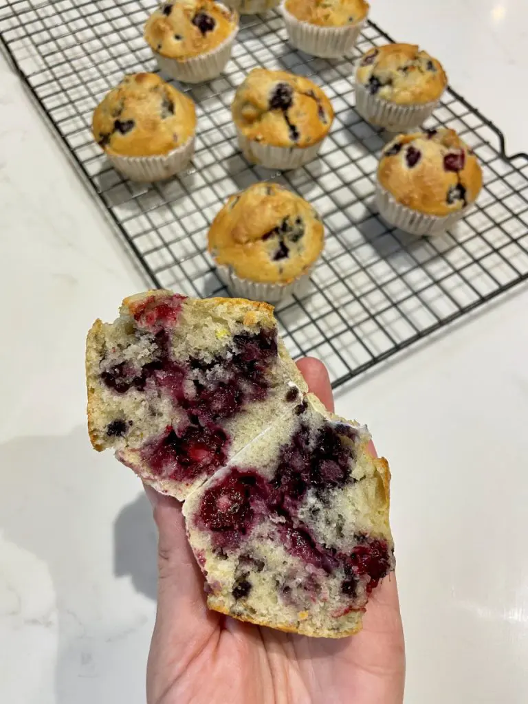 vegan blackberry muffins
