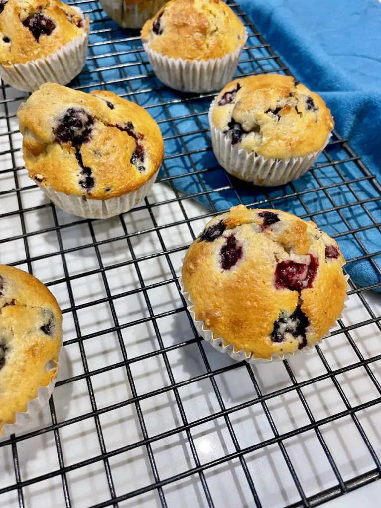 vegan blackberry muffins