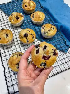 vegan blackberry muffins