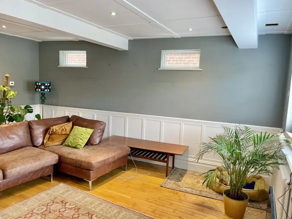 earthborn paint review before