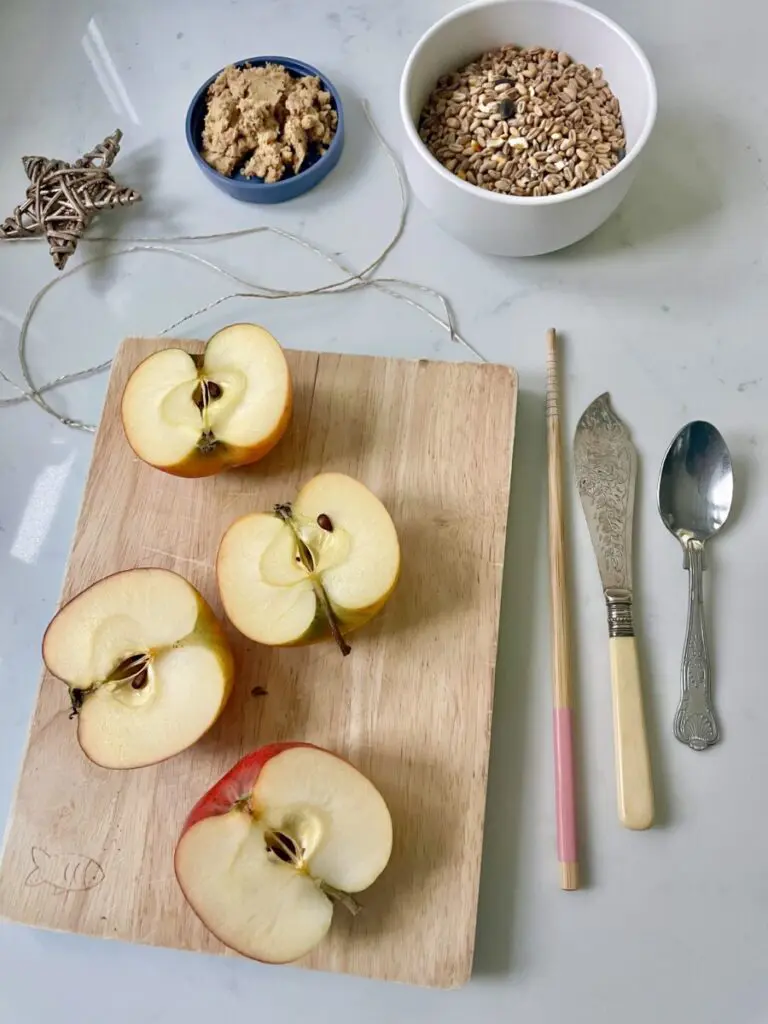 apple bird feed activity