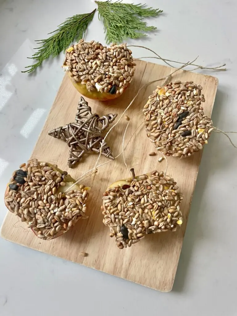 apple bird feed activity