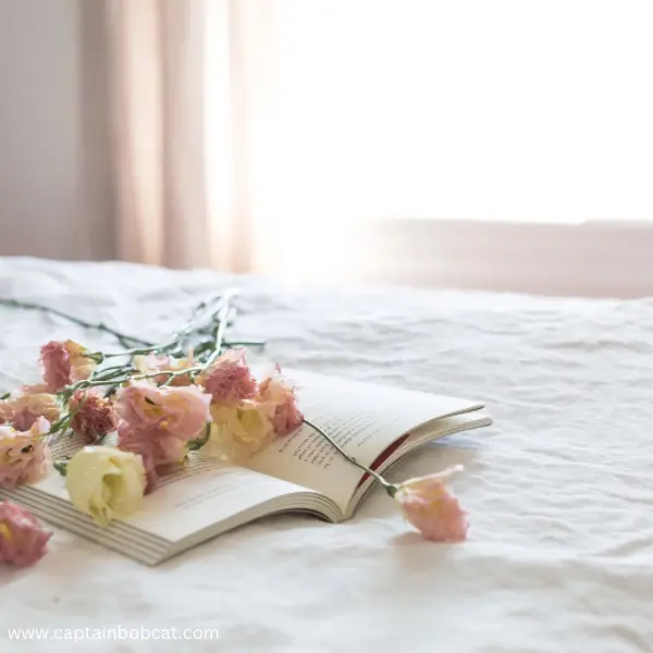 flowers bed book flowers bed book