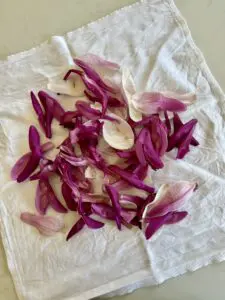 magnolia syrup