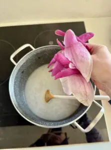 magnolia syrup
