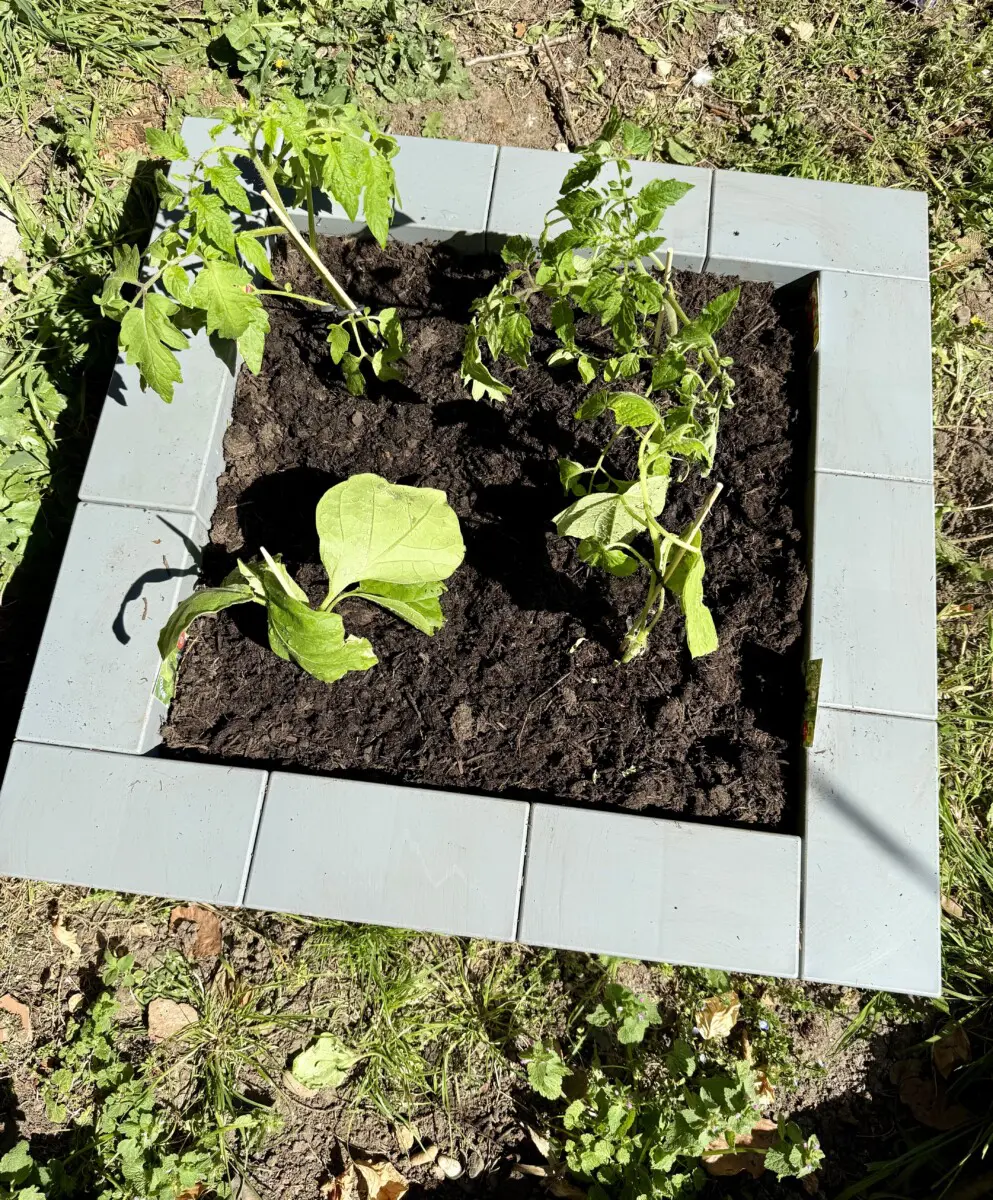 PolyBrick Raised Bed Planter Kit