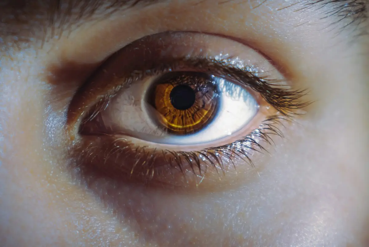 eye