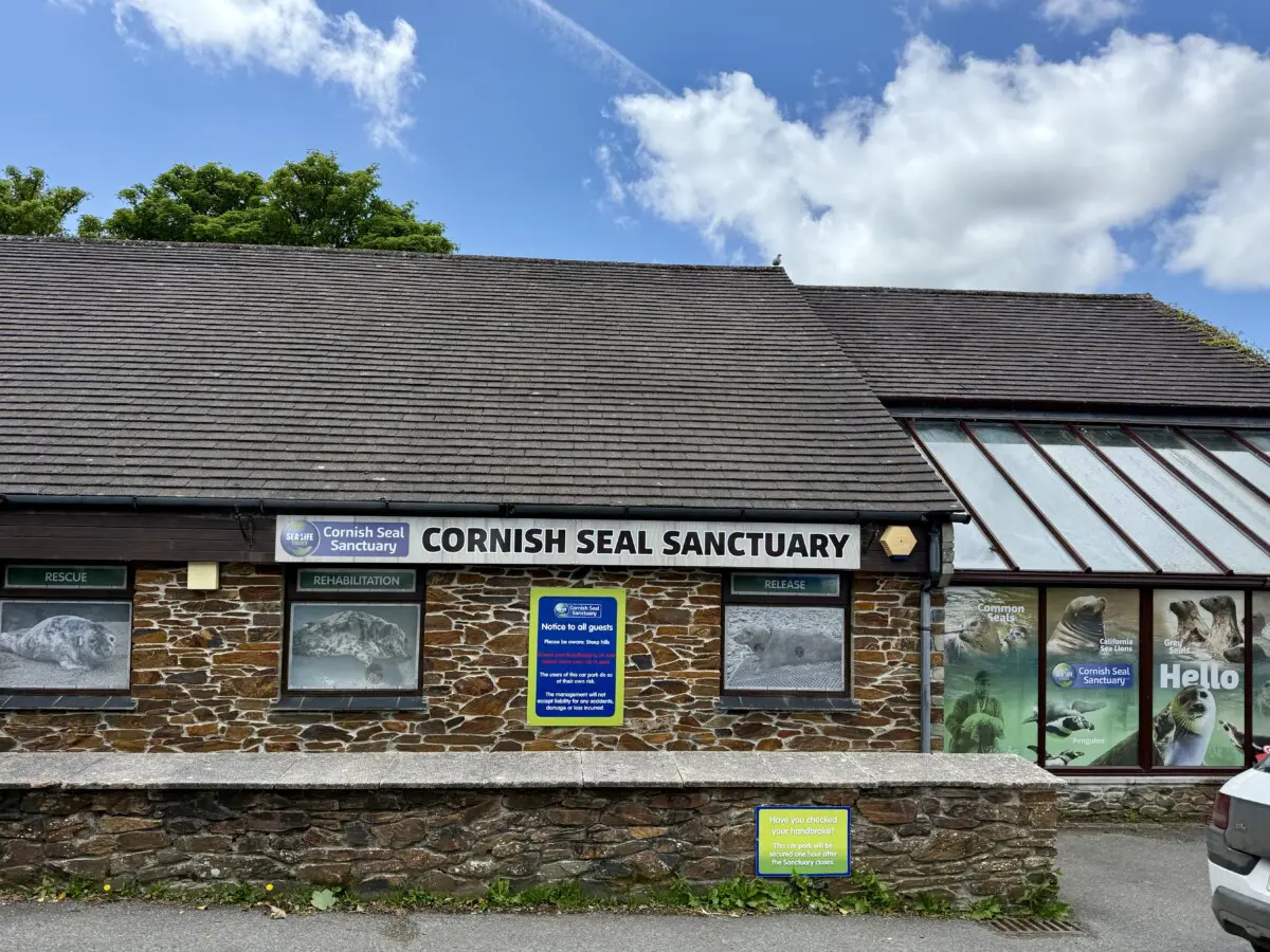 Cornish Seal Sanctuary Review