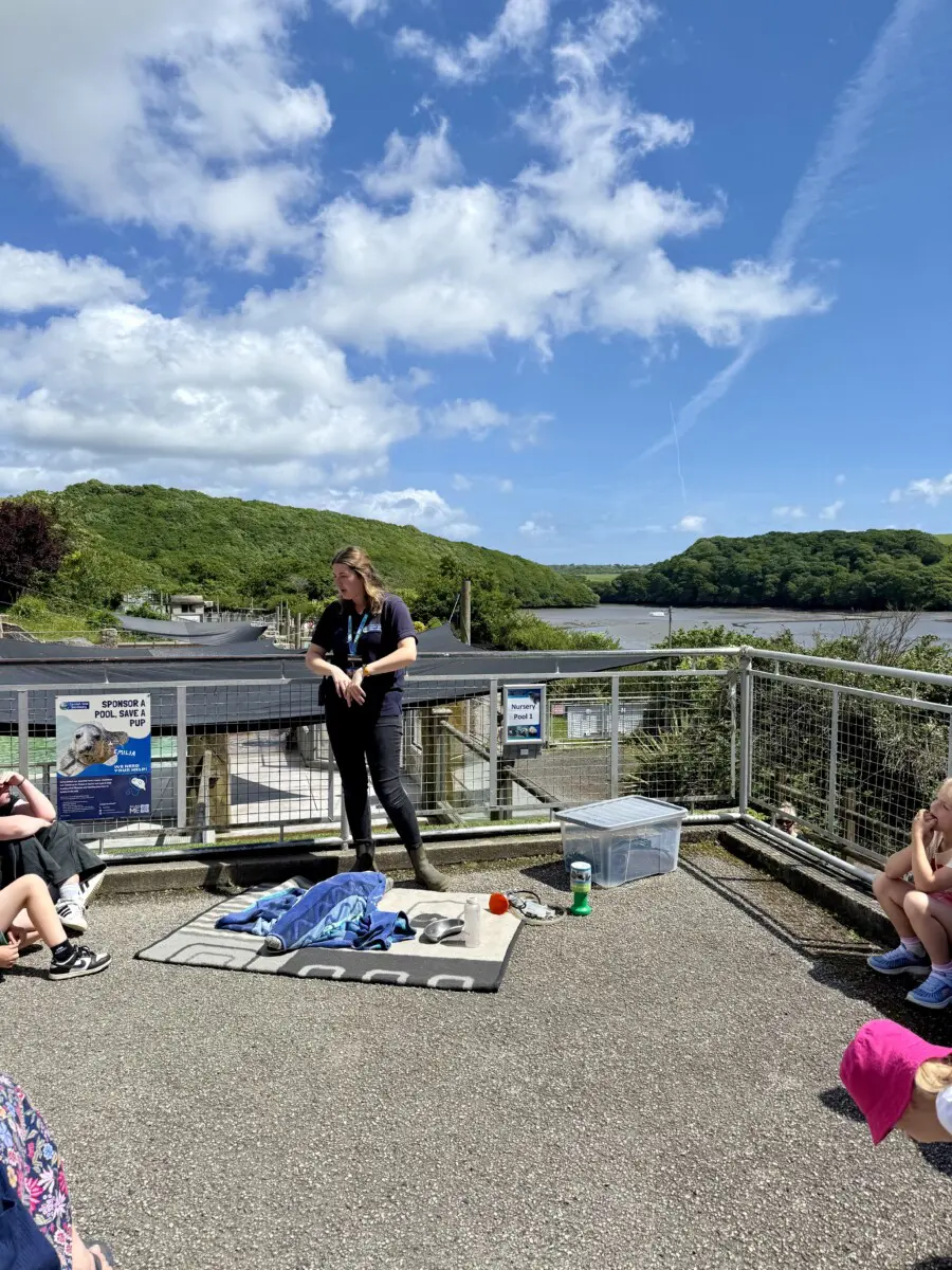 Cornish Seal Sanctuary Review