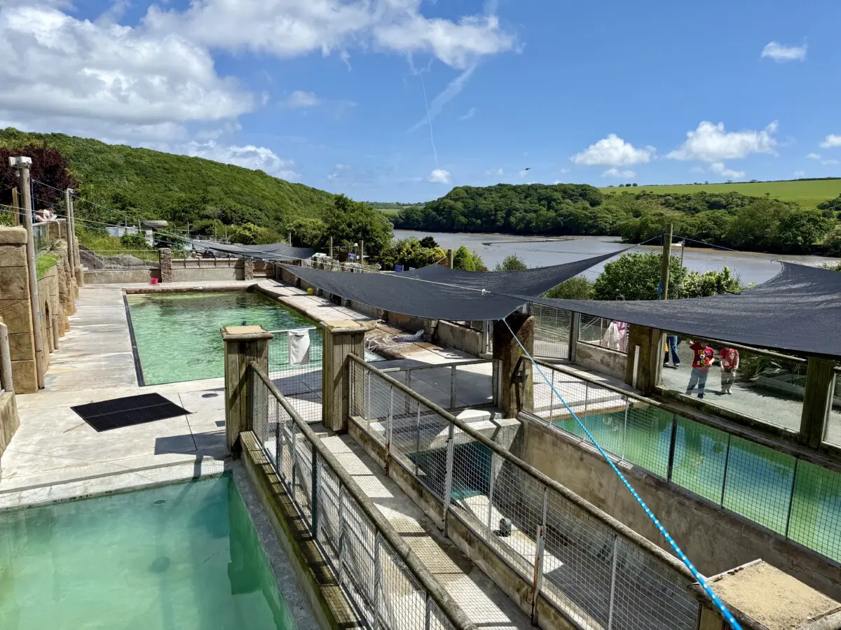 Cornish Seal Sanctuary Review