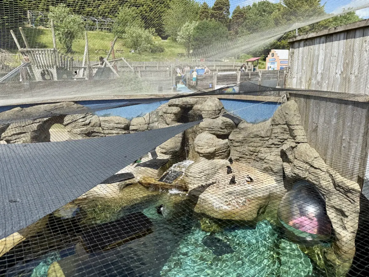 Cornish Seal Sanctuary Review
