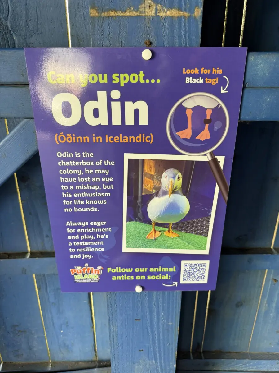 Cornish Seal Sanctuary Review Puffin