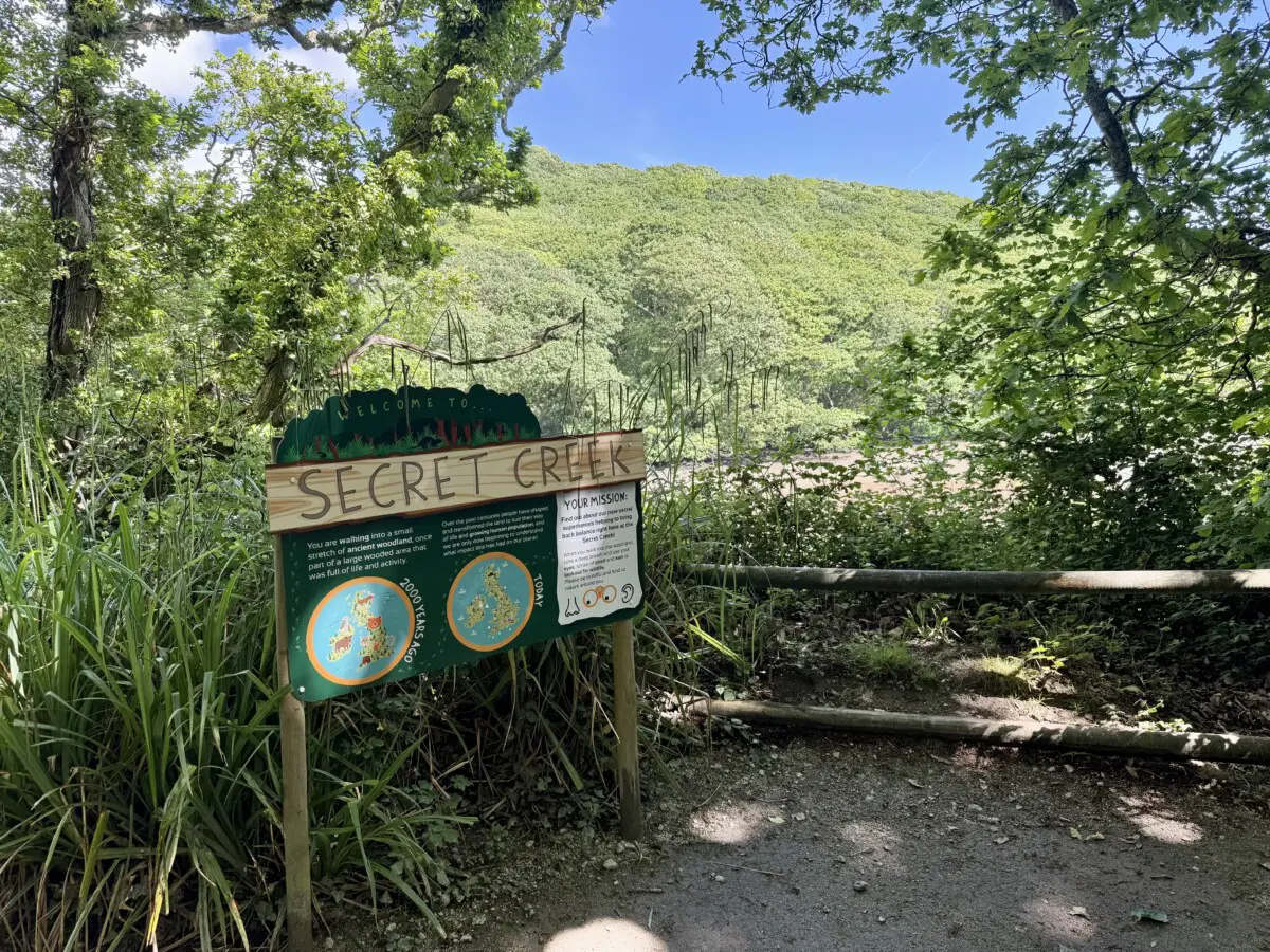 Cornish Seal Sanctuary Review meadow walk