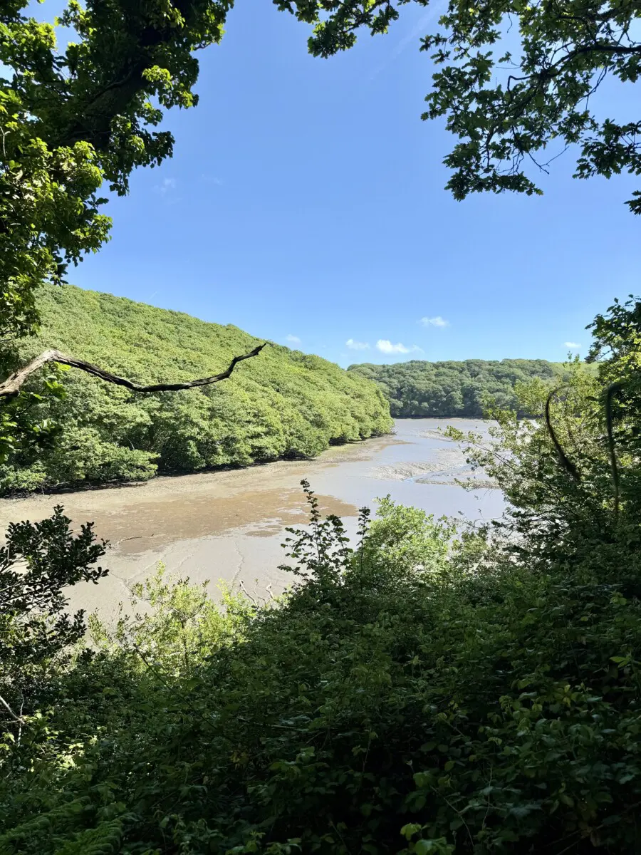 Cornish Seal Sanctuary Review meadow walk
