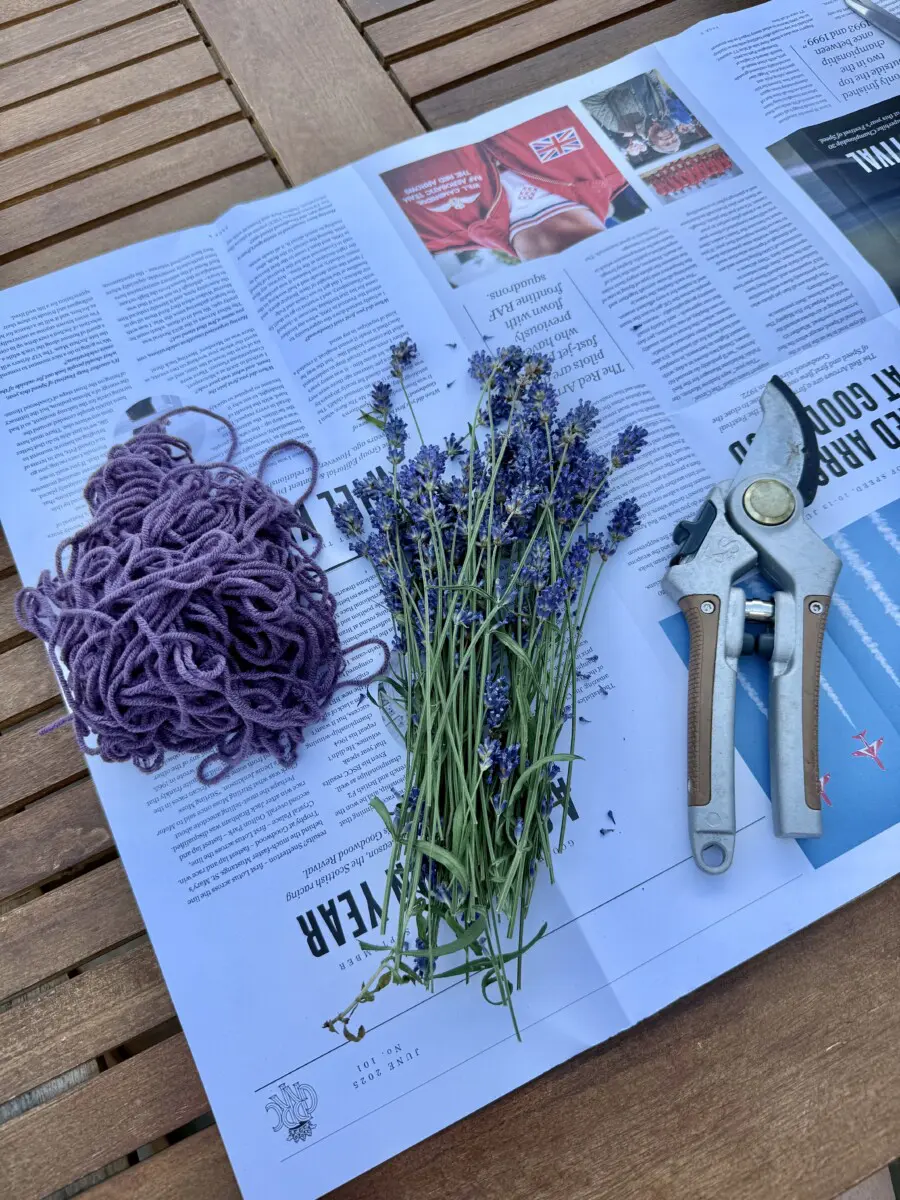 How to Dry Lavender Flowers