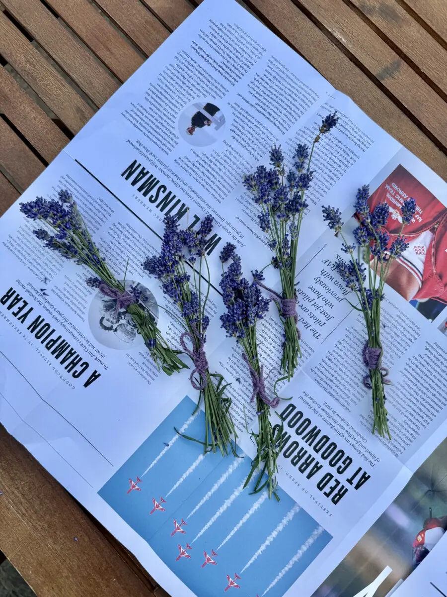 How to Dry Lavender Flowers