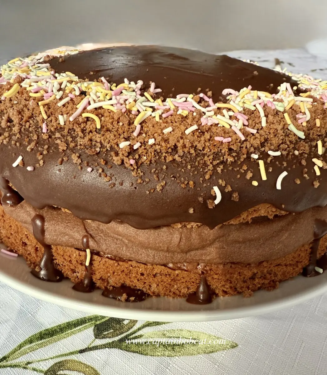 chocolate mascarpone cake