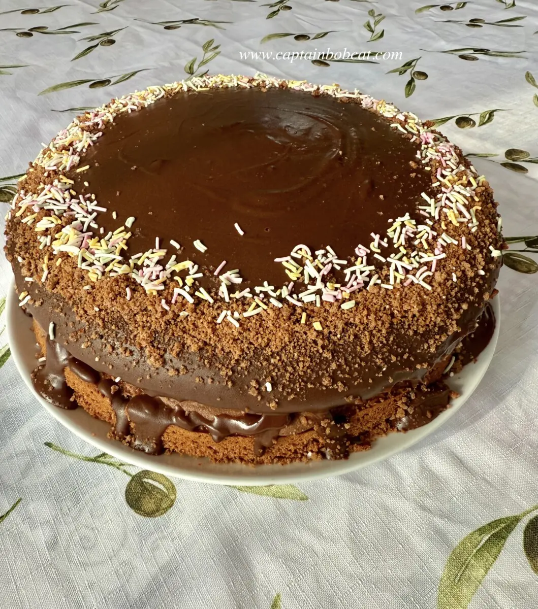 Chocolate Mascarpone Cake