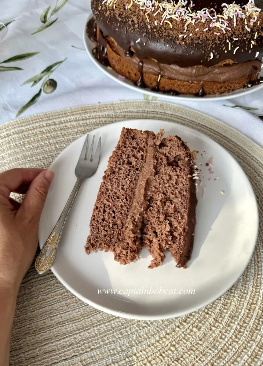 Chocolate mascarpone cake