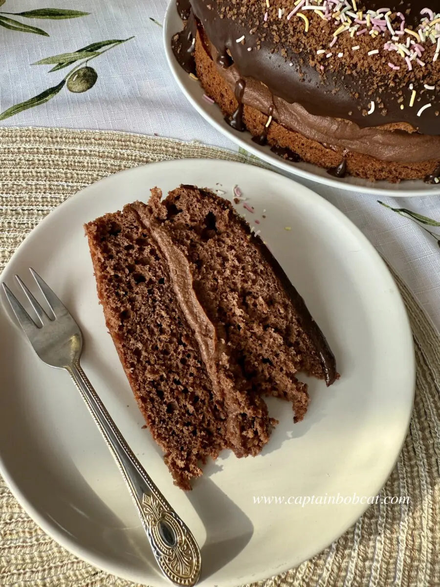 Chocolate Mascarpone Cake