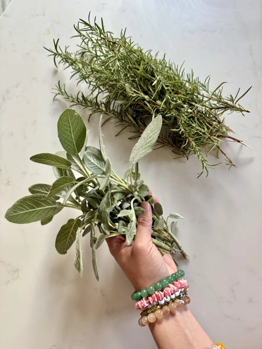 herbs