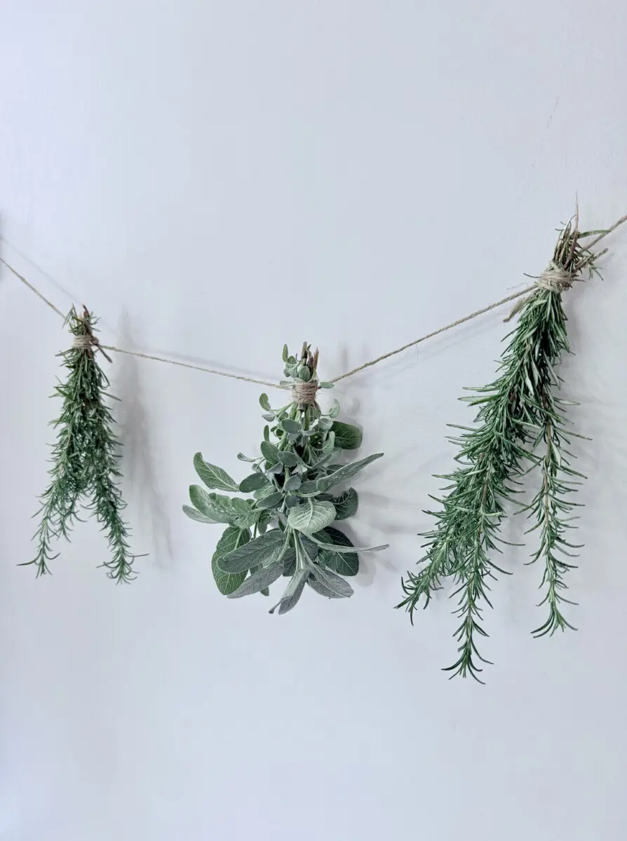 herbs