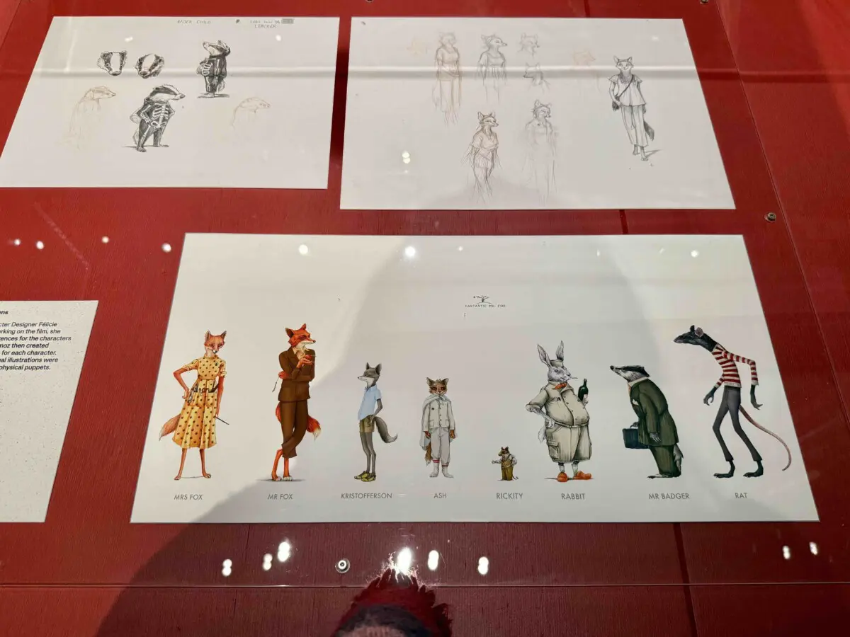 Fantastic Mr Fox illustrations: Wes Anderson Archives