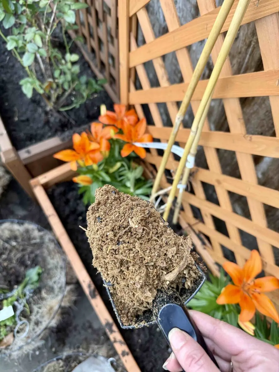 Reencle Smart Composter with compost ready flowers Reencle Smart Composter with compost ready flowers
