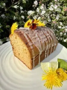 dandelion loaf cake outside