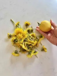 dandelions and lemon