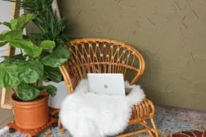 rattan chair with computer and plant interior