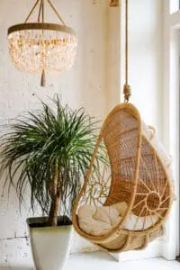 rattan egg chair interior chandelier plant