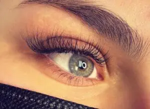 eye lashes