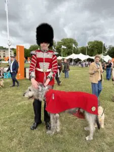 Goodwoof Sheamus Goodwoof Sheamus