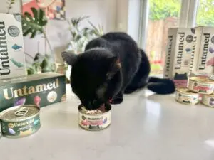 Untamed cat food Tokyo eating close up