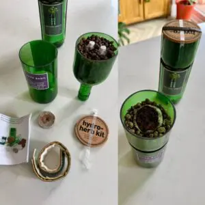 hydro herbs picks of the month
