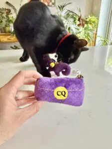 tokyo with cat toy
