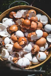 eggshells