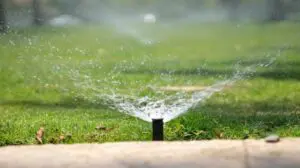 water sprinkler garden