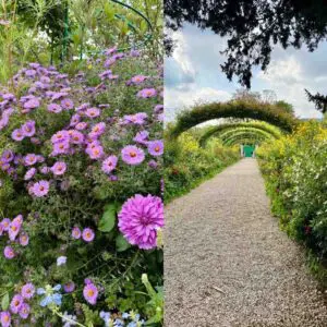Monet garden montage