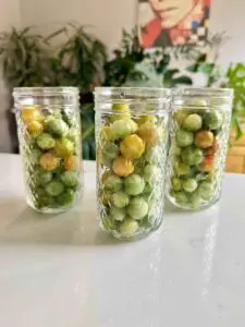 pickled green tomatoes in pretty jars