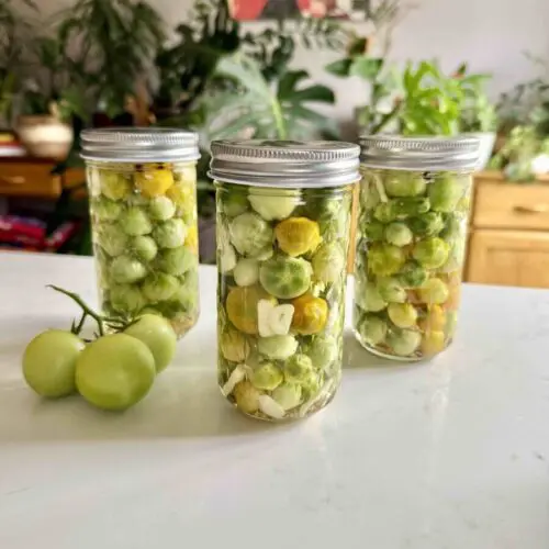 green tomatoes canning